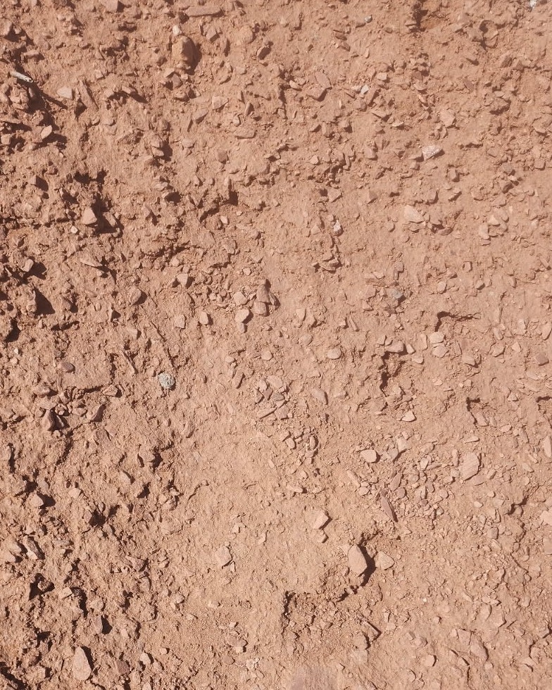 Red Cliff Insta-Path™