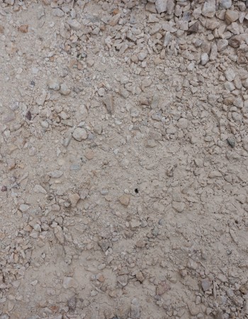 Majestic Insta-Path™