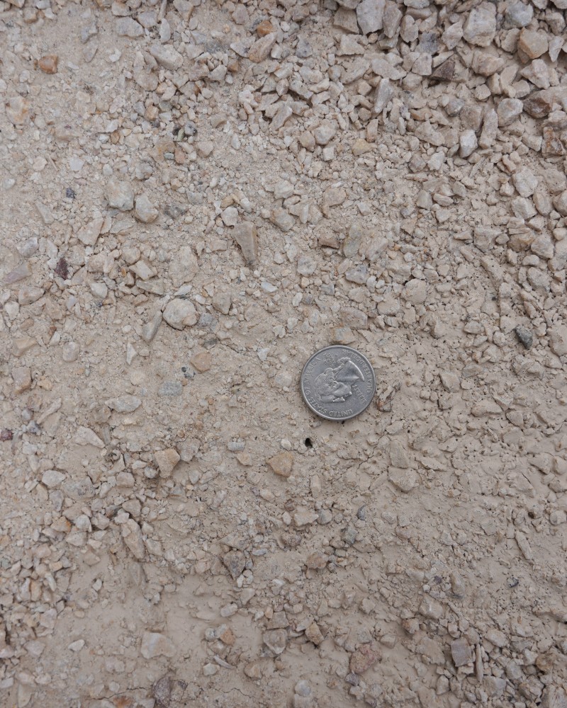 Majestic Insta-Path™