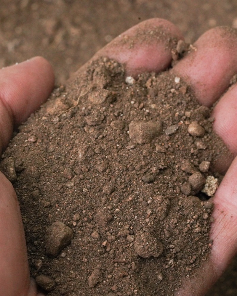 Screened Topsoil