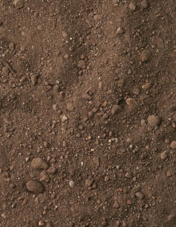 Screened Topsoil