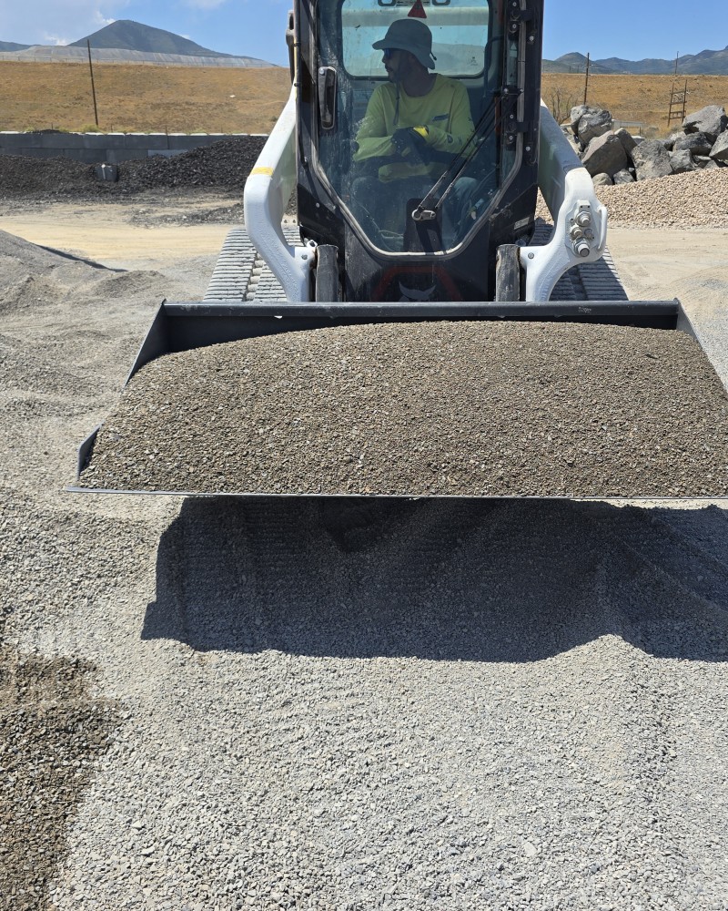 Olympus Insta-Path™