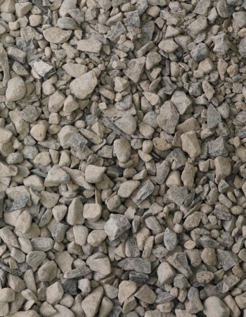 Olympus Insta-Path™